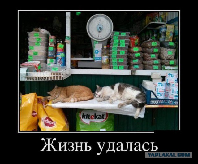 Смешные картинки, приколы, комментарии и прочее...