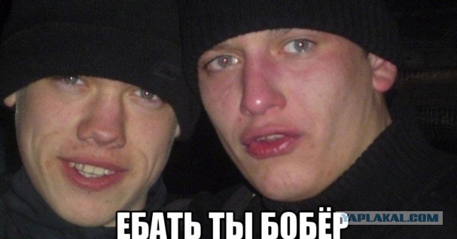 Бобер подгрыз дерево не с той стороны