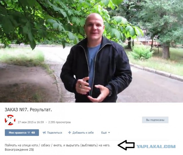 Издевается над котёнком, за деньги