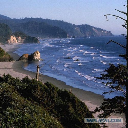 Русский Робинзон