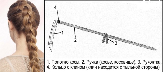 Поиграем в омонимы