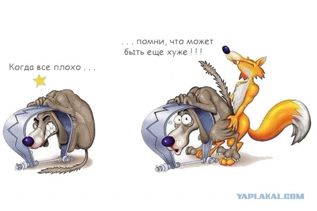 Пошлые картинки
