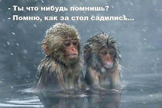 Подборка интересных и смешных картинок