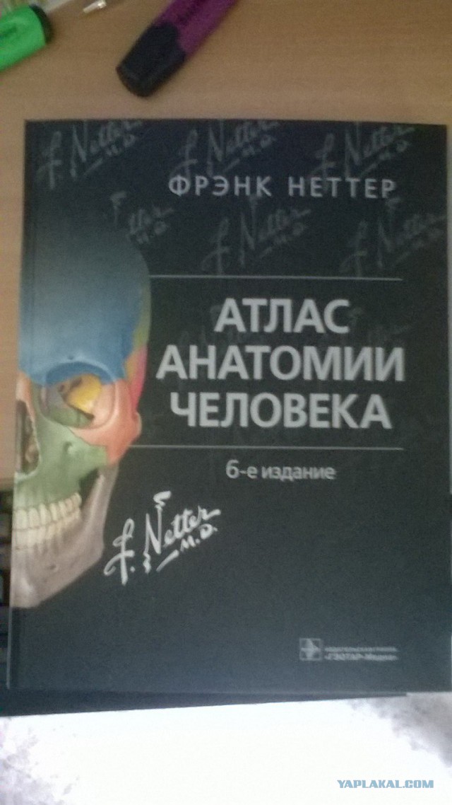 Про жадных стоматологов. Взгляд с другой стороны.