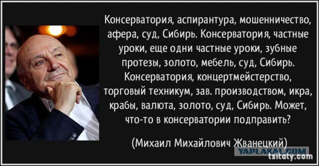 Оставил мясо я на кухне а сам пошел в консерваторию