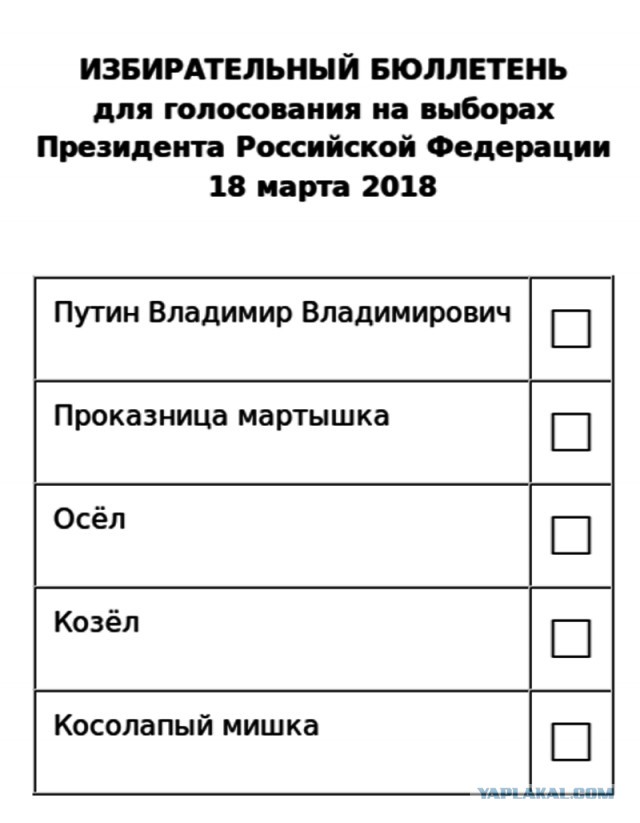 Избирательный бюллетень образец для школьных выборов
