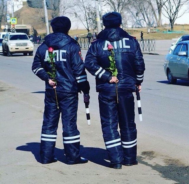 Подборка забавных картинок