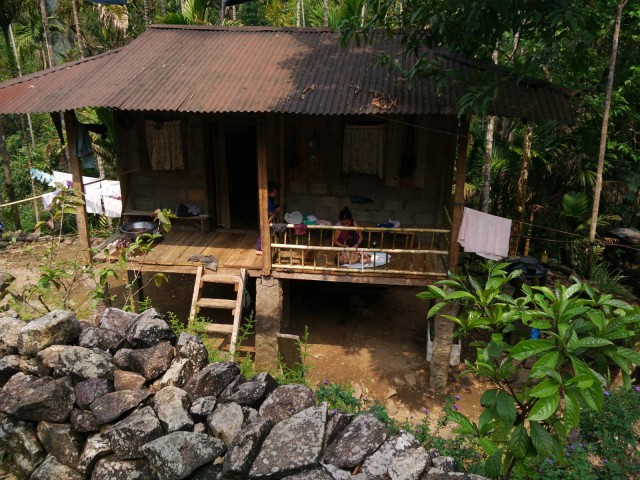 К живым мостам и обратно. Заметки из Индии