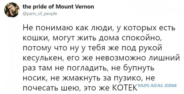 Немного картинок в эту пятницу