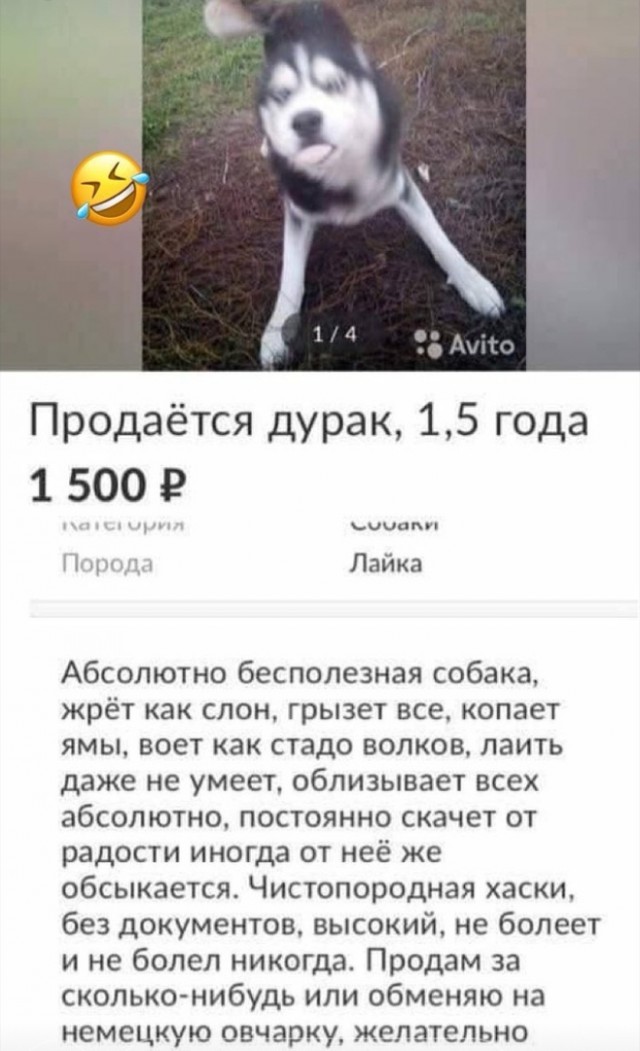 Немного картинок для настроения