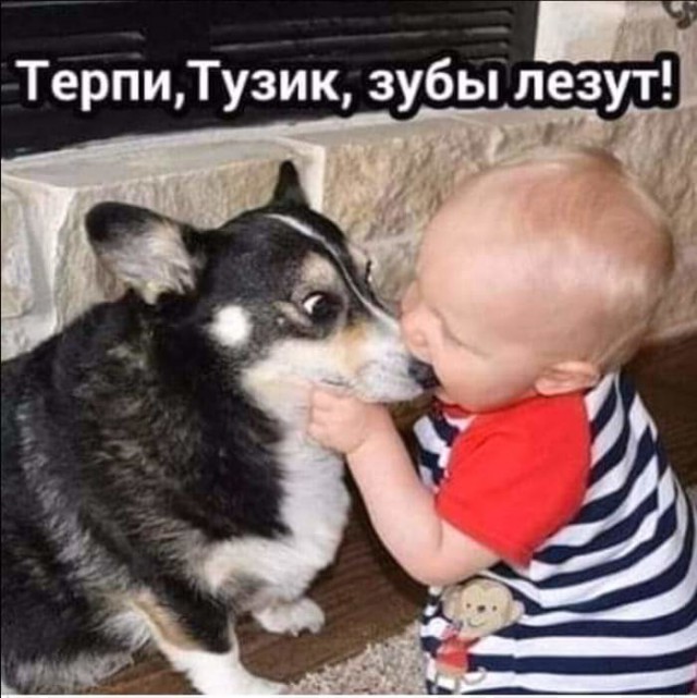 Немного картинок для настроения