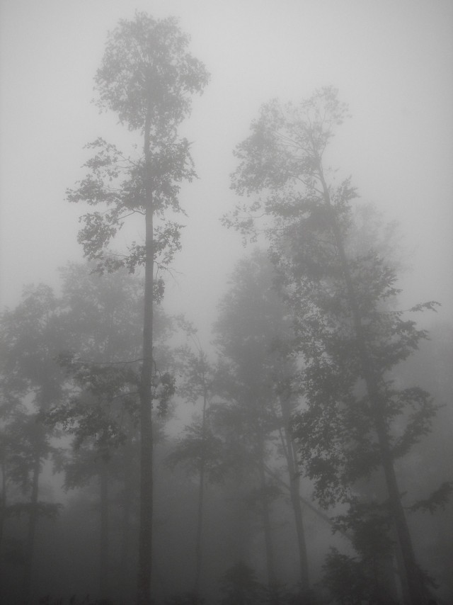 любительская фотография