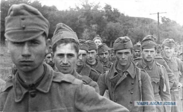 Почему немецкие танкисты во время Второй мировой войны не носили шлемофоны