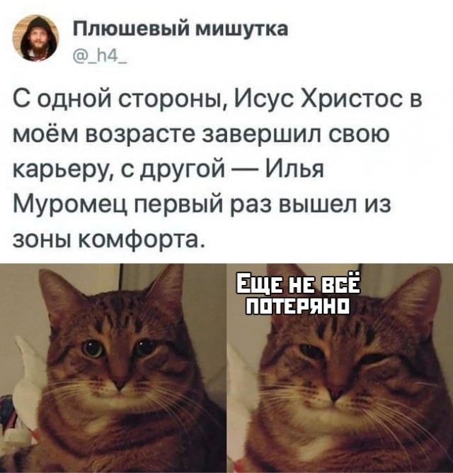 Немного картинок с надписями и без 29.11.2019