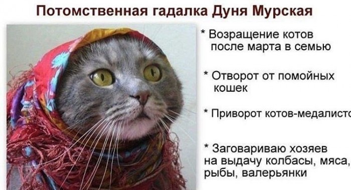 Когда "ясновидящая" на стук в двери спрашивает "Кто там?". Участница "Битвы экстрасенсов" попала на мошенников и лишилась 7 млн