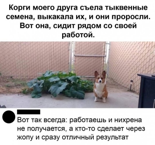 Немного картинок для настроения 115