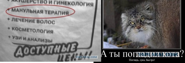 Забавные шутки, картинки и фразы из этих ваших интернетов