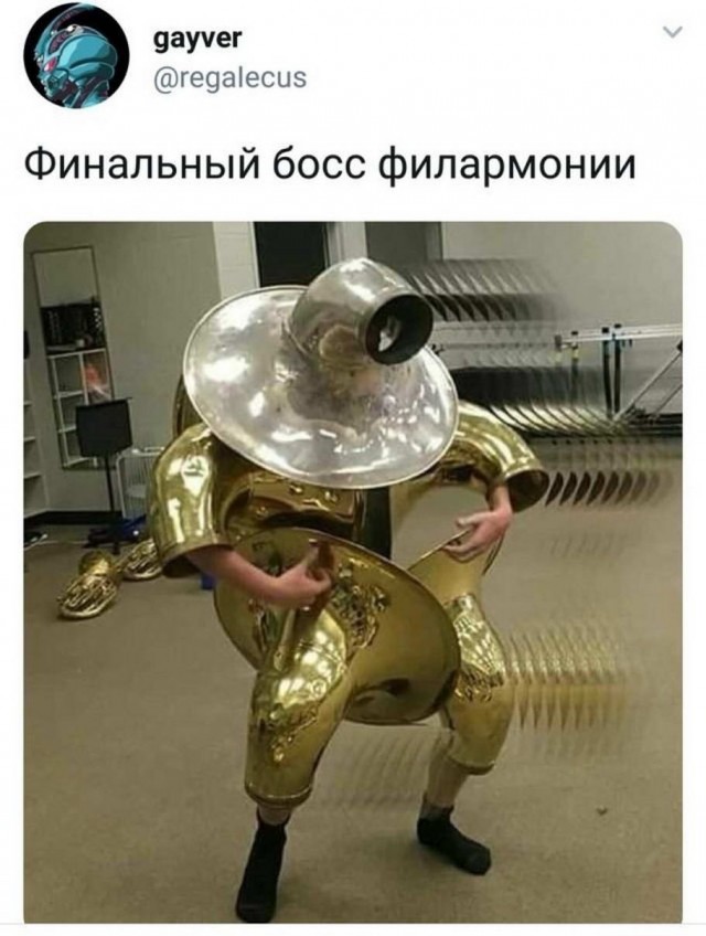 Фотки и картинки: юморные и красивые, забавные и милые 15.10.20