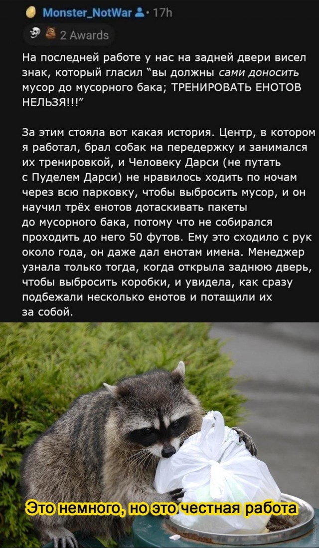 Картинки и мемы для настроения 009