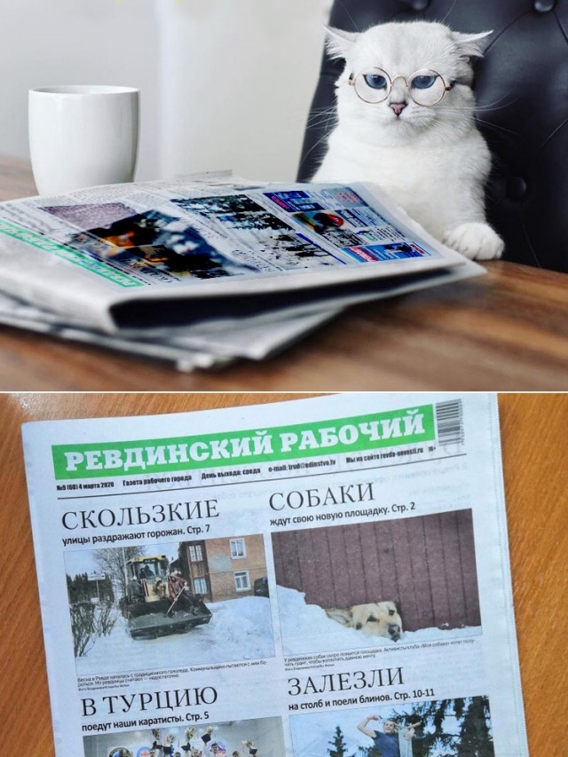Картинки 11.02