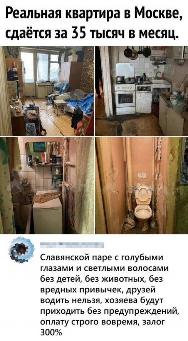 Картинки и мемы для настроения 017