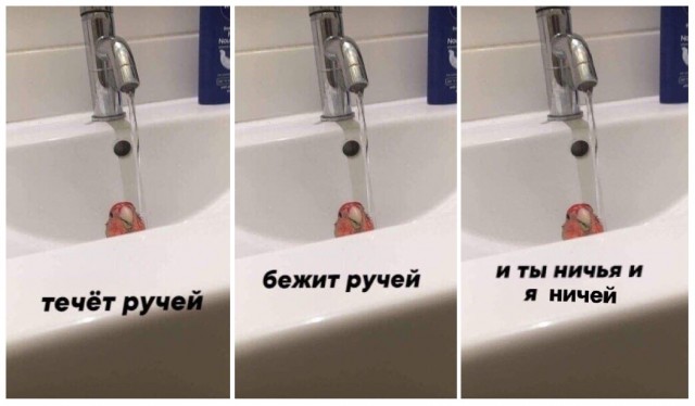 Весёлый полтишок 7.03