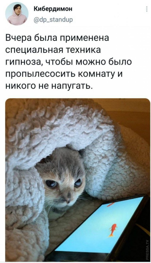 Картинки и мемы для настроения 26.03.2021