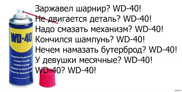 Весёлый полтишок 23.04