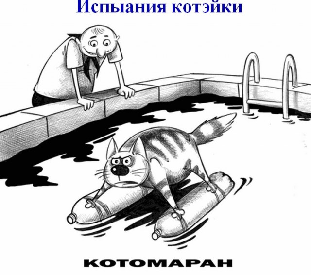 ШутЯПки от tubdoc(a) на ДР ресурса