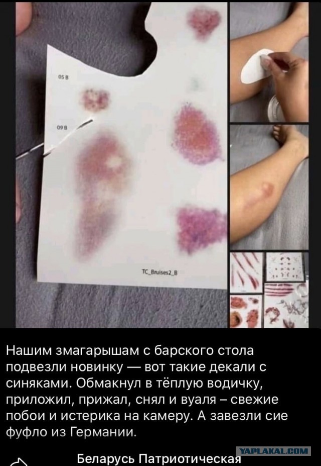 Протасевич: чувствую себя хорошо, стучу на всех, сотрудничаю