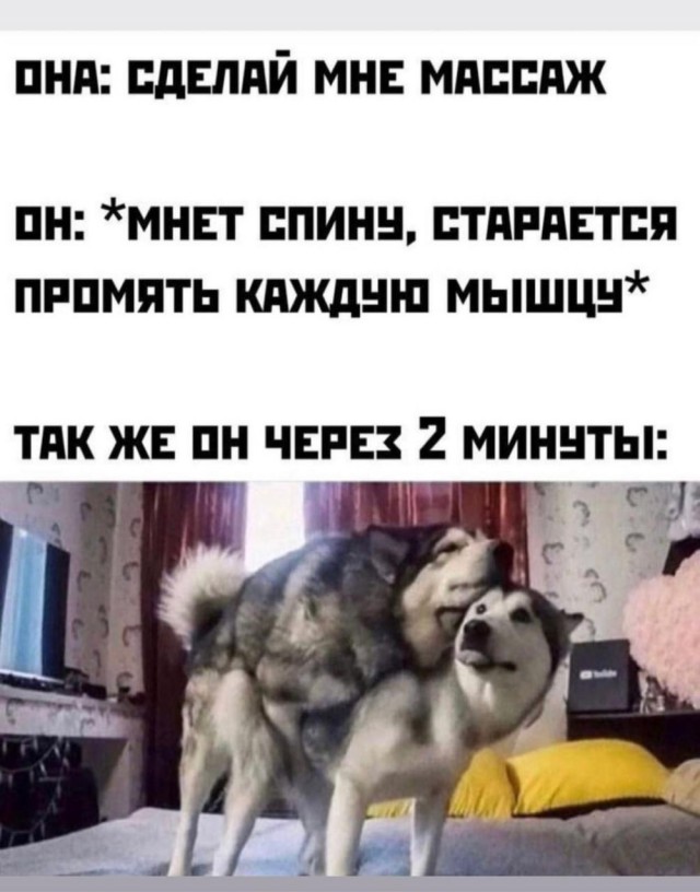 Юмор и прикольные картинки
