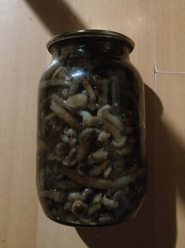 Нет покоя увлечённым