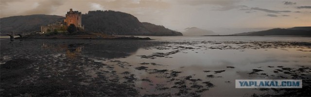 Волшебная страна