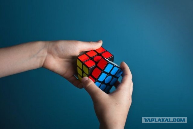 Люди делятся интересными фактами