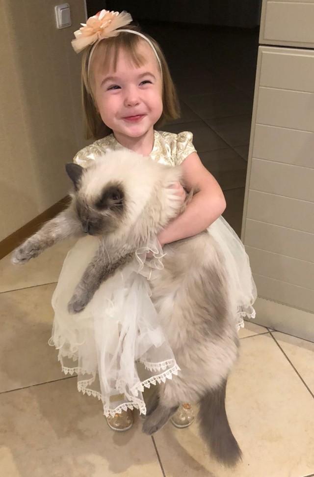 Котовторник 21.12.21