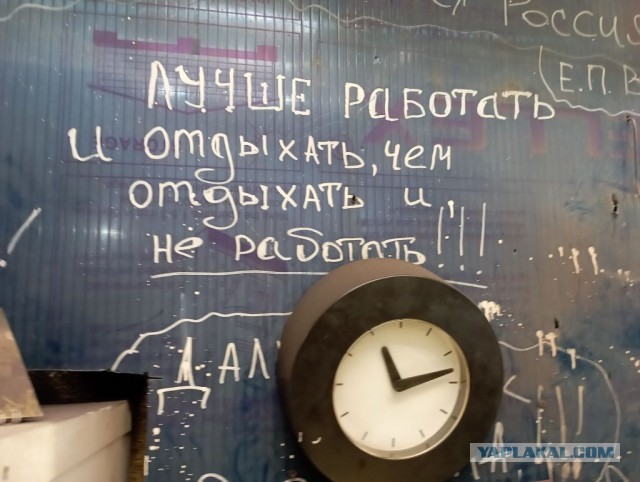 Настенная жизнь обычного завода