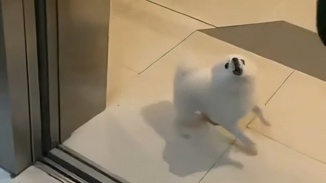 Прощайте, неудачники, я вас никогда не любил!