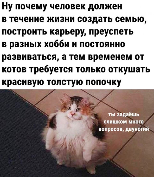 Так себе картинки 03.05.22