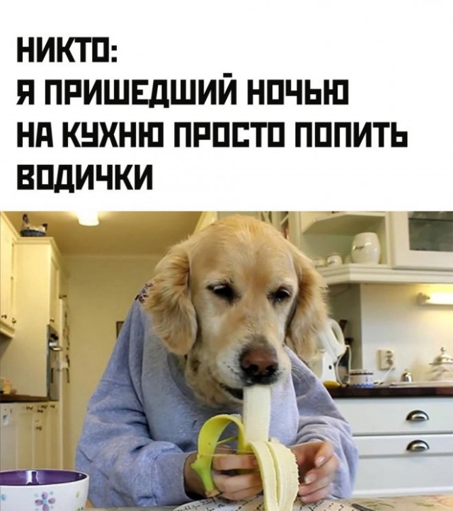Картинки и мемы, начало праздников