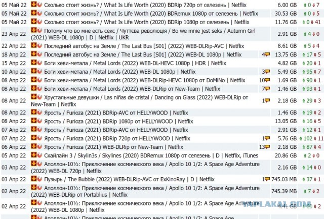 Беды Netflix продолжаются - теперь на компанию подали в суд акционеры