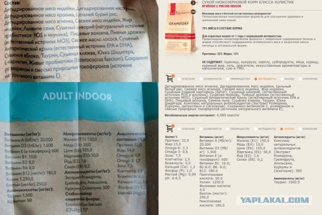 Котоманы, как не разориться на кормежке котов?