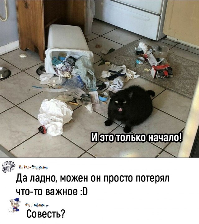 Так себе картинки 15.05.22