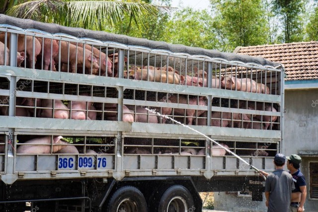 Минобороны РФ опубликовало кадры сдачи в плен ВСУ с "Азовстали"