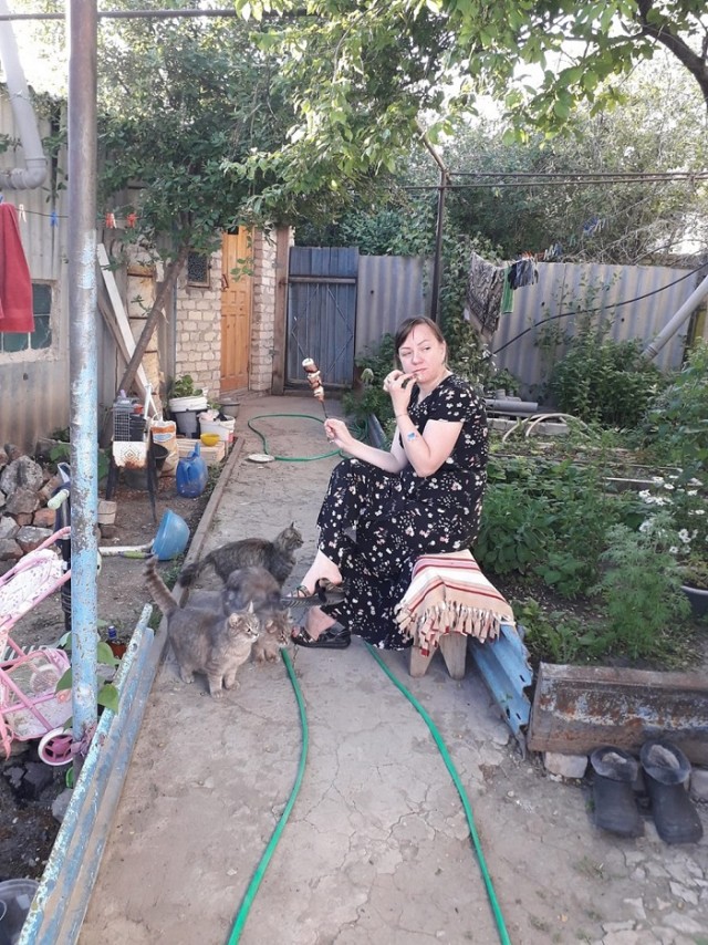 Котовторник. Немного сицилийских котов.