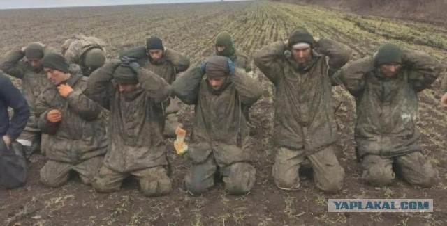 Зая, подымай всих, нас тут вбивают