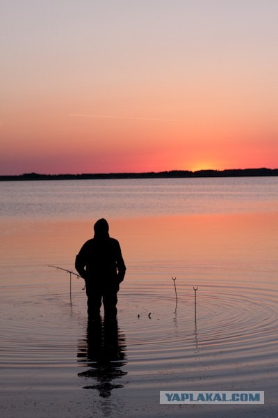 Утро на рыбалке.