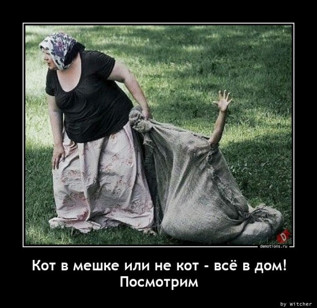 Баянисто-небаянистый юмор 29.08.22