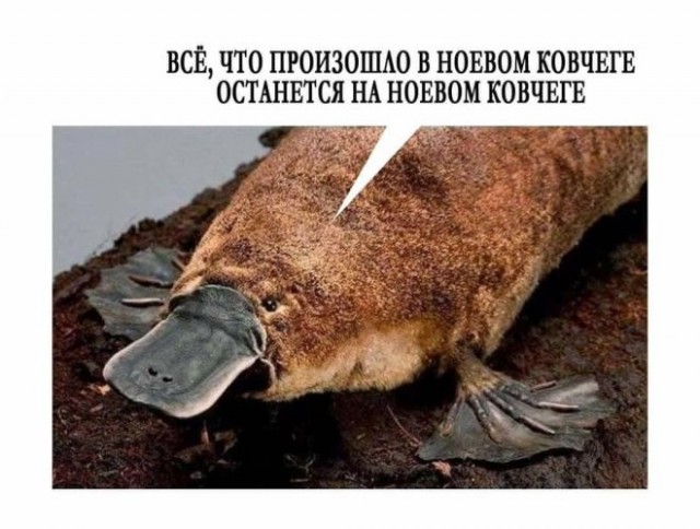 Картинки и мемы, всем хороших выходных
