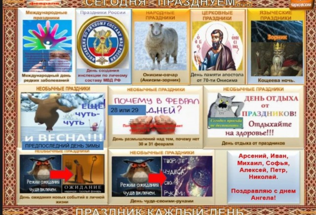 Победная поступь идиотизма по планете – том 9