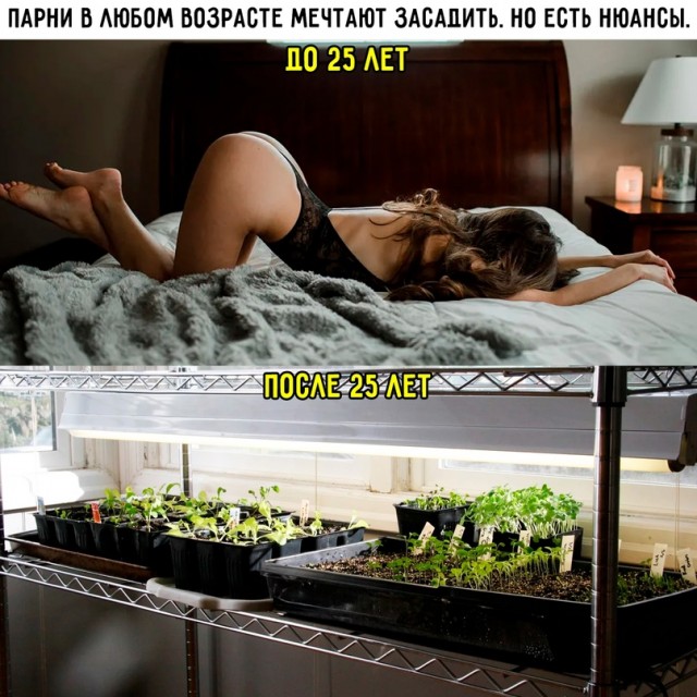 Немного картинок для настроения - 161